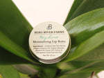 Luxurious and Therapeutic Shea Butter Natural Lip Balm .5 oz