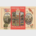Greetings From Ohio Buckeye State Vintage Postcard