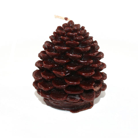 Pine Cone Soy Wax Candle