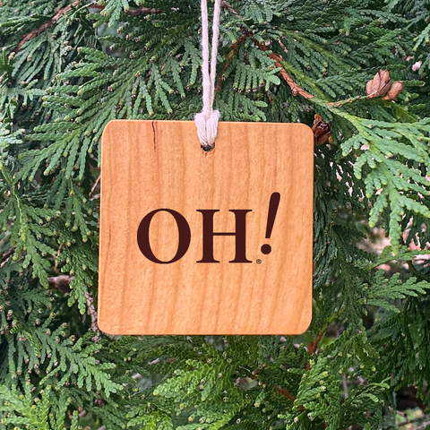 Ohio State Two Sided Wood Ornament