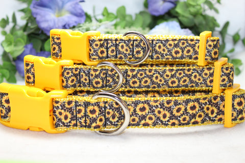 Sunflower Dog Collar