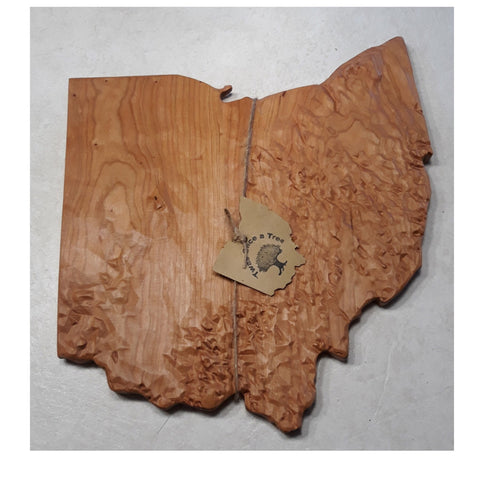 Ohio 3D Topigraphical Map - Celebrate Local, Shop The Best of Ohio