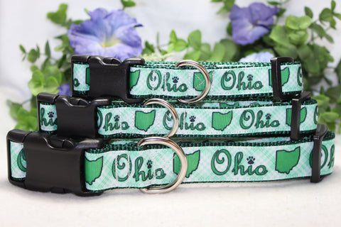 Green Ohio Dog Collar