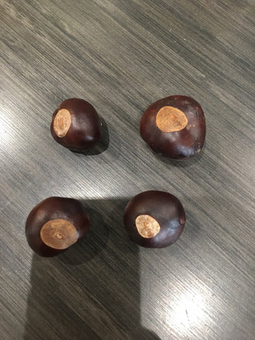 Buckeye Nut Magnet