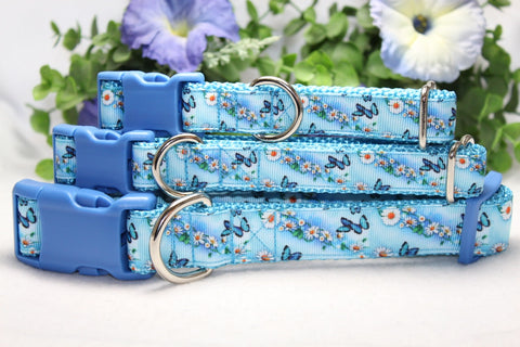 Blue Butterfly Dog Collar