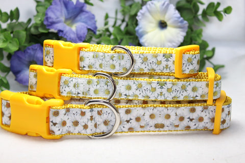 Yellow Daisy Dog Collar